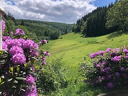 Gruppenvilla mit Waldzugang in Winterberg