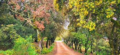 Sunny Provence Getaway