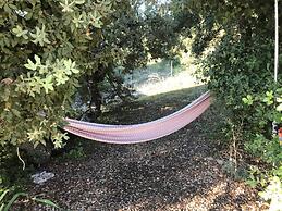 Sunny Provence Getaway