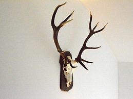 Elegant Child Friendly Villa in Berismenil near Forest