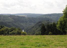Petit Wilogne Holiday Home in Mont