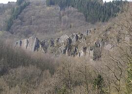 Petit Wilogne Holiday Home in Mont