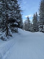 Chalet in La Tzoumaz Near Ski Lift