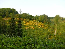 Charming Apartment With Balcony, Garden, BBQ, Parking, Heating