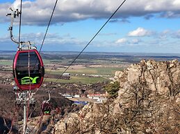 Holiday Home on the Edge of the Forest