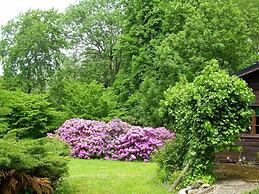 Pretty Holiday Home in Eschede Germany near Forest