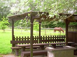Pretty Holiday Home in Eschede Germany near Forest