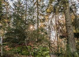 Apartment Near the Bavarian Forest