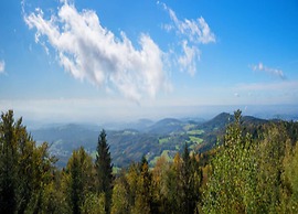 Apartment Near the Bavarian Forest