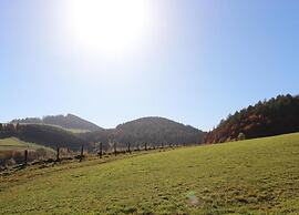 Spacious Apartment in Rattlar near Forest