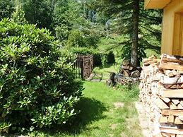 Holiday Home Near the ski Area