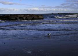 Seaside Stay in Saint-clement