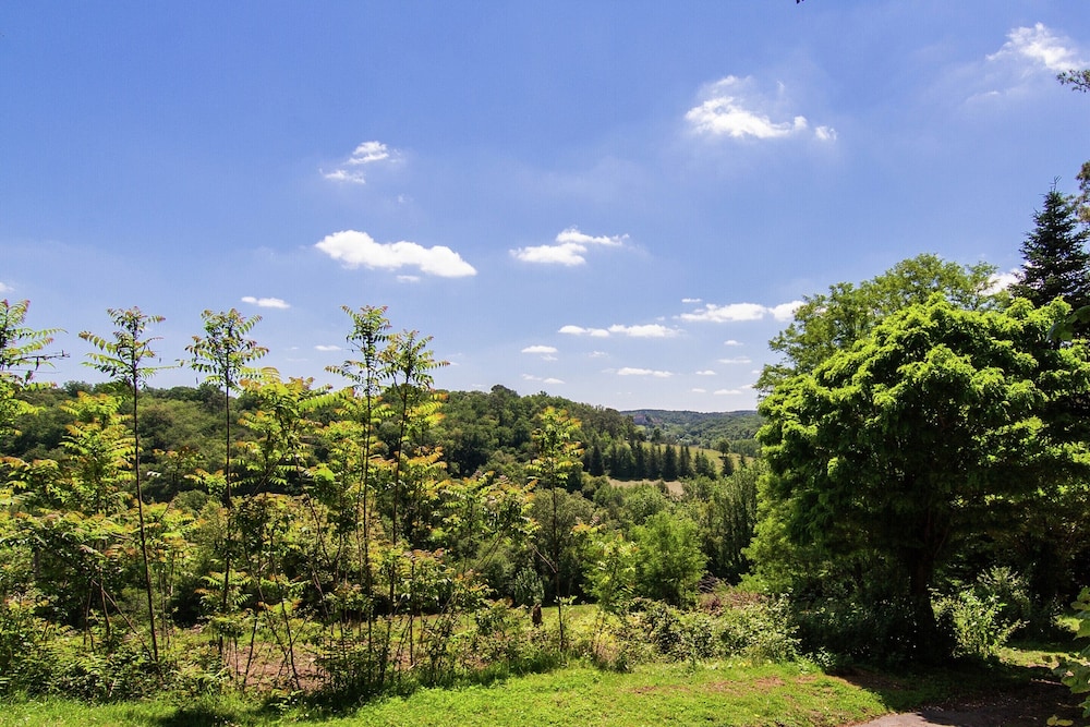 Mansion in Bourgnac With Garden