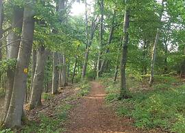Homely Apartment with BBQ in Riedenburg Prunn near Forest
