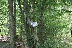 Forest Retreat in Vosges