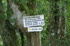 Forest Retreat in Vosges