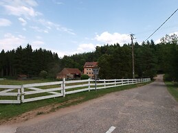 Forest Retreat in Vosges