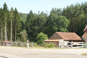 Forest Retreat in Vosges