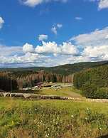 Ferienhaus im Thuringer Wald