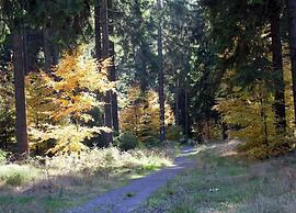 Ferienhaus im Thuringer Wald