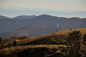 Vosges Retreat With Sauna