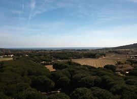 Villa in Gassin Near Saint Tropez Beaches
