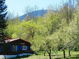 Chalet With Garden in the Pyrenees