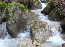 Flat in Villa With Pool and Lake View