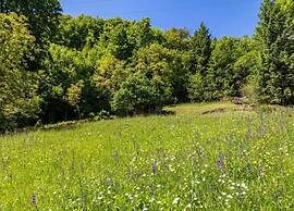 Flat in Villa With Pool and Lake View