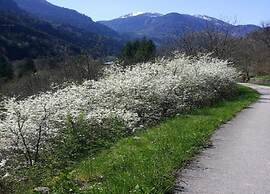 Flat in Villa With Pool and Lake View