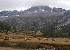 Flat in Villa With Pool and Lake View