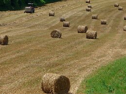 Modern Holiday Home in Vinci With Swimming Pool