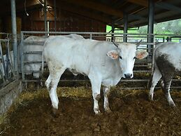 Holiday Home in Montorsoli With Pool