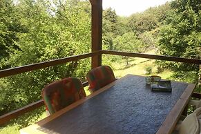 Vintage Holiday Home With Private Terrace
