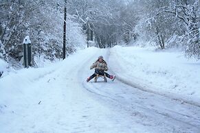 Vintage Holiday Home With Private Terrace