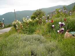 Belvilla by OYO Cozy Holiday Home With Pool