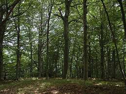 Belvilla by OYO Cozy Holiday Home With Pool