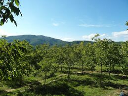 Rustic Comfort With Modern Touch