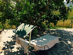 Rustic Comfort With Modern Touch