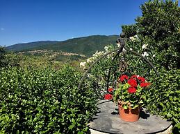 Rustic Comfort With Modern Touch