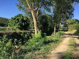 Rustic Comfort With Modern Touch