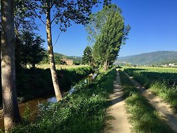 Rustic Comfort With Modern Touch