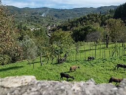 Belvilla by Oyo Castello di Argigliano