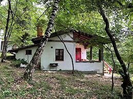 Vintage Vacation Home