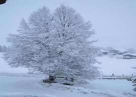 Holiday Home in Niedernsill With Sauna