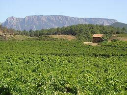 Tranquil Vineyard Villa, Berlou