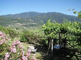 Belvilla by Oyo Forno in Pelago