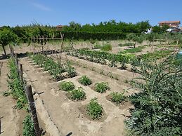 Adriatic Hideaway With Bikes