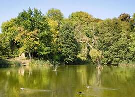 Lovely Apartment in Bollendorf near South Eifel Nature Park