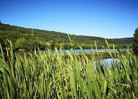 Lovely Apartment in Bollendorf near South Eifel Nature Park